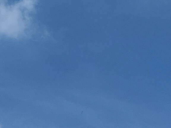 22-04-15 13-50-05 0495